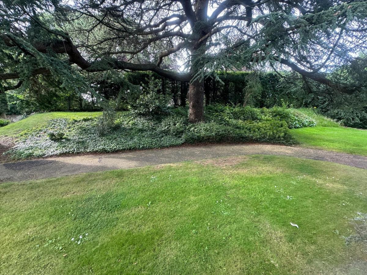 Apartment 3 Bedroom Tranquil Ground Floor Flat In Merchiston *